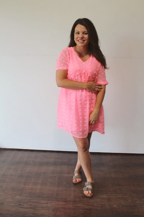 Gabby Swiss Dot Dress