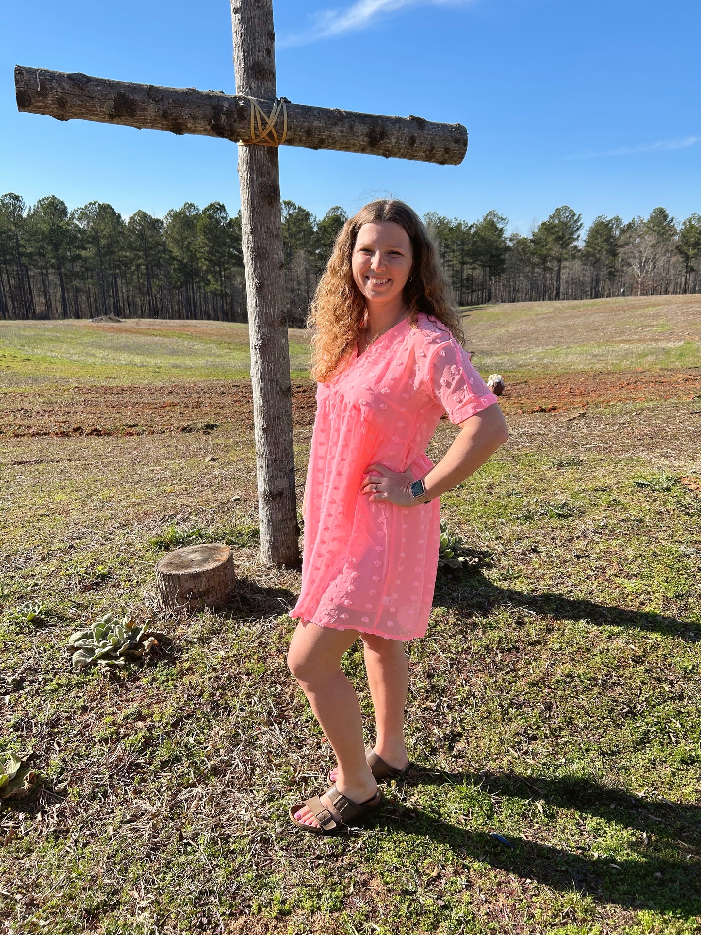 Gabby Swiss Dot Dress