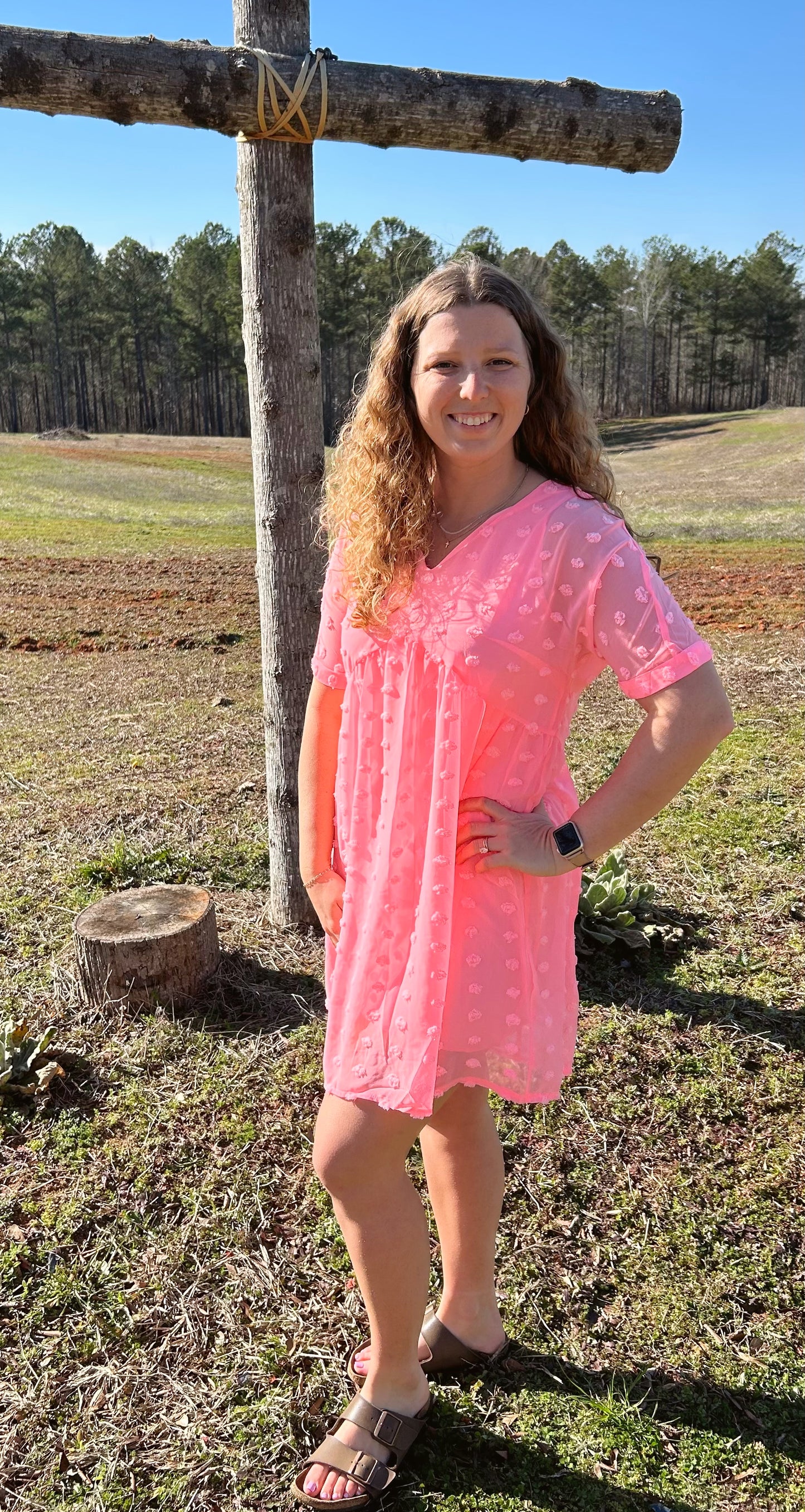 Gabby Swiss Dot Dress